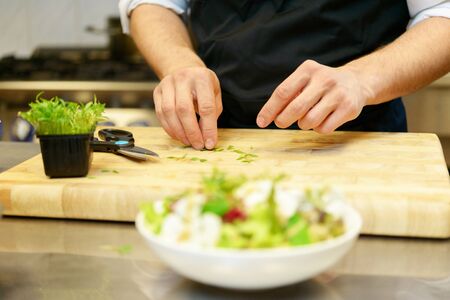 Chief cook preparing salad の写真素材