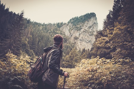 Man with hiking equipment walking in mouton forest