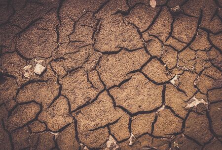 Dry soil texture の写真素材
