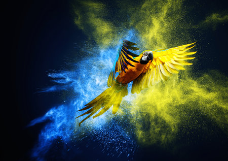 Flying Ara parrot over colourful powder explosionの写真素材