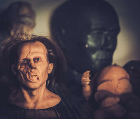 Masks and dummies on a shelf in prosthetic special fx workshopの写真素材