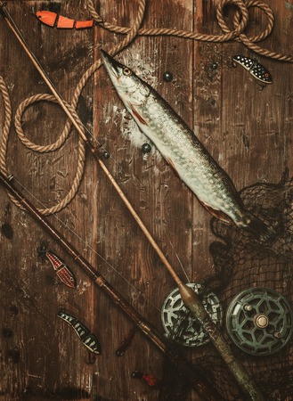 Fishing tools and fresh pike on a wooden tableの写真素材