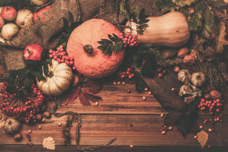 Thanksgiving day autumnal still lifeの写真素材