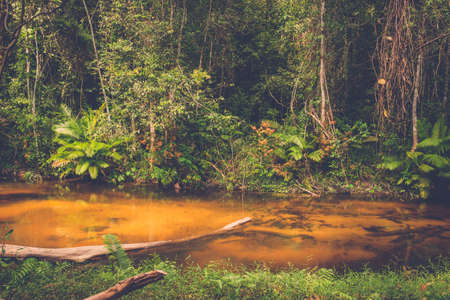 Thousand lingas river. Angkor. Siem Reap. Cambodiaの写真素材
