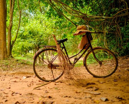 Vintage bicycle standing in the tropical forestの写真素材