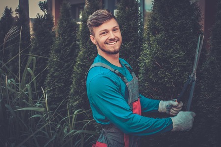 Young gardener cutting trees with clippersの写真素材