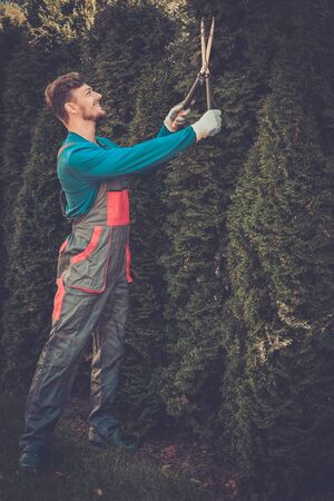 Young gardener cutting trees with clippersの写真素材