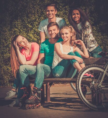 Multi ethnic group of sporty teenage friends in a park