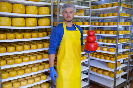 Handsome cheesemaker is checking cheeses in his workshop storage.の写真素材