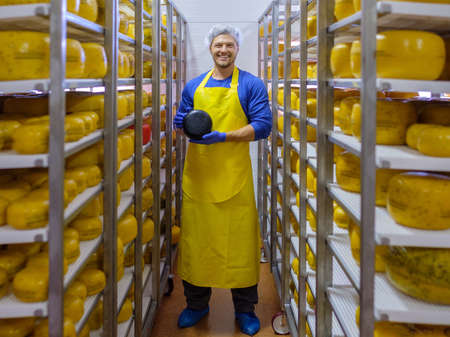Handsome cheesemaker is checking cheeses in his workshop storage.