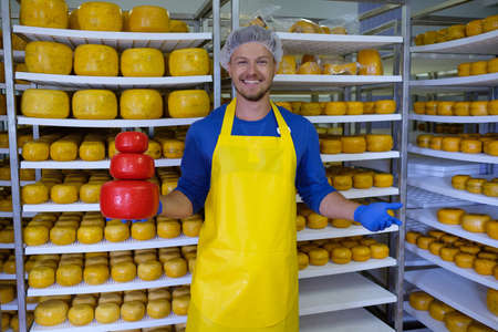 Handsome cheesemaker is checking cheeses in his workshop storage.