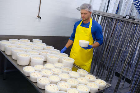 Handsome cheesemaker is making curd cheese in his workshop.の写真素材