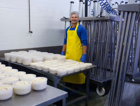 Handsome cheesemaker is making curd cheese in his workshop.