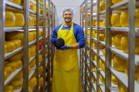 Handsome cheesemaker is checking cheeses in his workshop storage.の写真素材