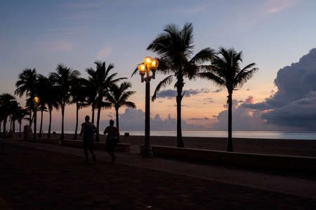 Scenic silhouettes of palm trees at sunset.の写真素材