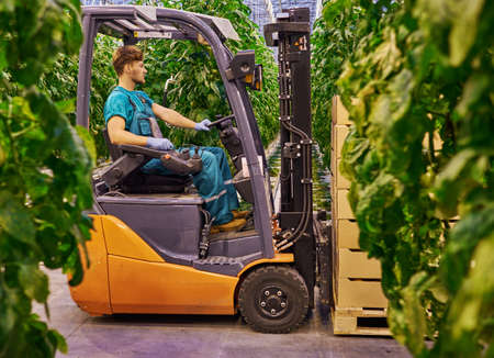 Young attractive man working on electric forklift in greenhouse.の写真素材