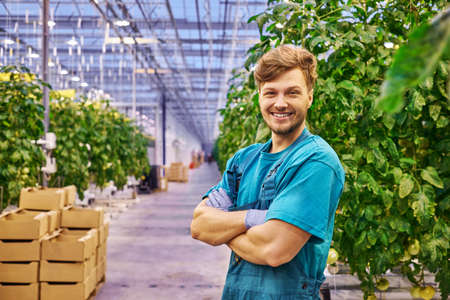 Friendly farmer at work in greenhouse.の写真素材