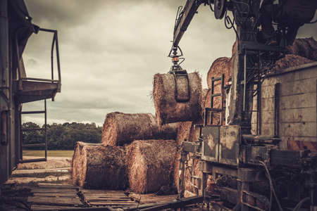 Mechanized harvesting hay for cattleの写真素材