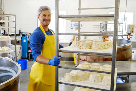 Handsome cheesemaker making curd cheese in his factoryの写真素材