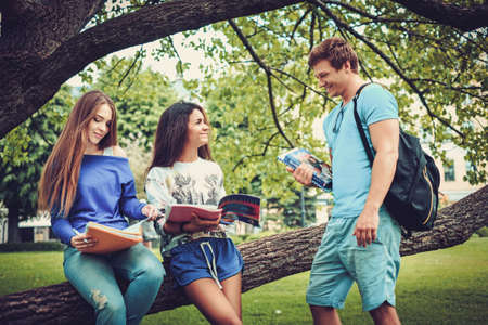 Group of multi ethnic students in a city parkの写真素材