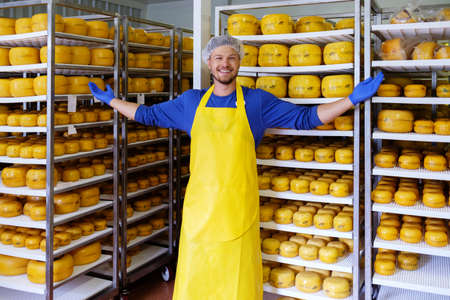 Handsome cheesemaker is checking cheeses in his workshop storage.の写真素材