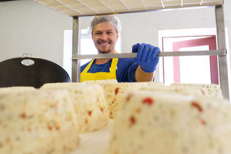 Handsome cheesemaker making curd cheese in his factory.の写真素材