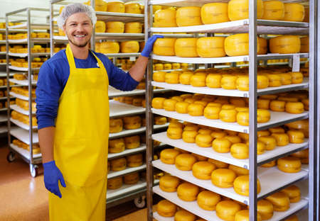 Handsome cheesemaker is checking cheeses in his workshop storage.
