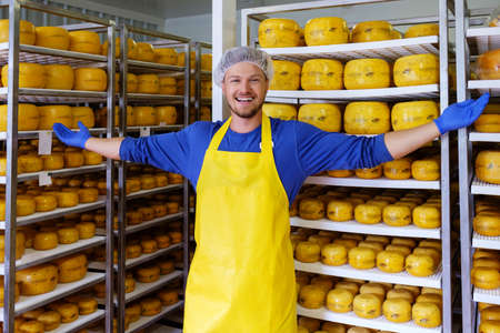 Handsome cheesemaker is checking cheeses in his workshop storage.の写真素材