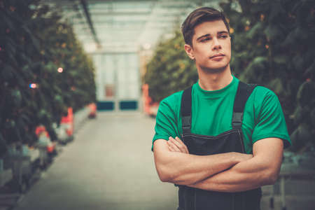 Man working in a greenhouse.の写真素材