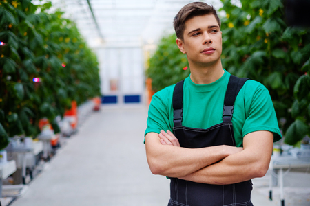 Man working in a greenhouseの写真素材