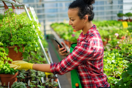Black woman working in a botanical gardenの写真素材