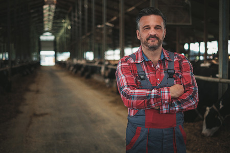 Farmer in a cowshed on a dairy farm.の写真素材