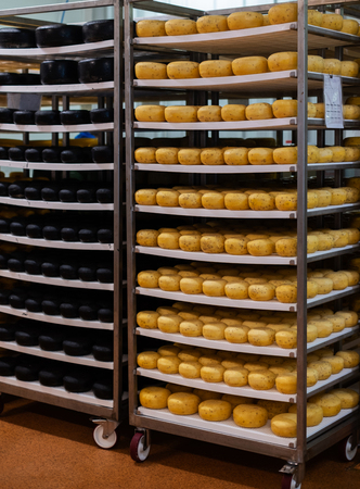 Cheese in a storage roomの写真素材