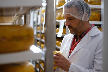 Cheesemaker checking ready product in a storage roomの写真素材