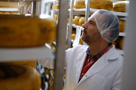 Cheesemaker checking ready product in a storage roomの写真素材