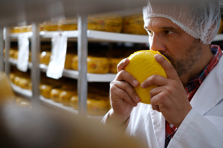 Cheesemaker checking ready product in a storage roomの写真素材