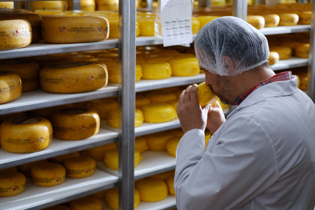 Cheesemaker checking ready product in a storage roomの写真素材