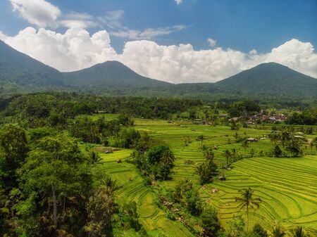 View of Jatiluwih rice terrace, Baliの写真素材