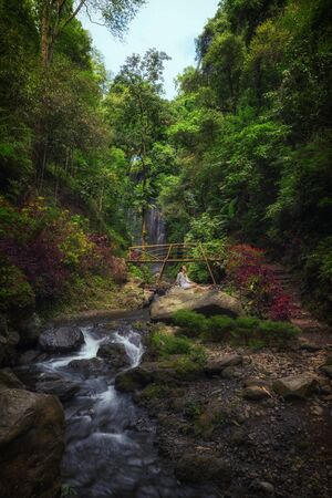 View of Labuhan Kebo Waterfall located in Munduk, Baliの写真素材