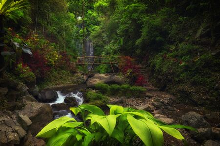 View of Labuhan Kebo Waterfall located in Munduk, Bali.の写真素材