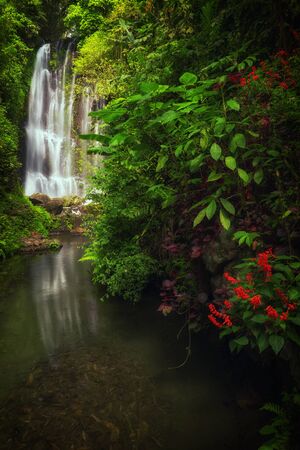 View of Labuhan Kebo Waterfall located in Munduk, Bali.の写真素材