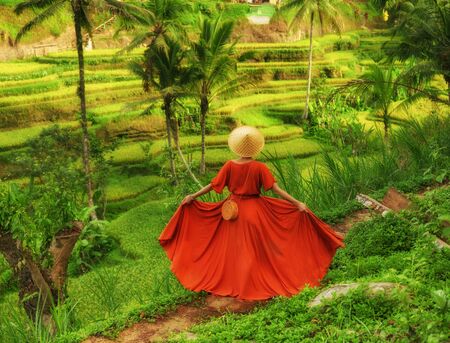 Woman walking on Tegalalang Rice Terrace, Baliの写真素材