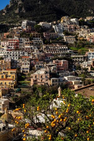 Oranges growing in Positano town, Italyの写真素材