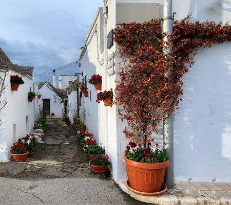 Walking streets of trulli town Alberobello, Italyの写真素材
