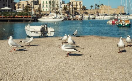 Old fishing boats in Bari, Italy.の写真素材