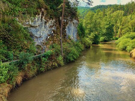 River in a Slovensky Raj, Tatra mountains, Slovakia.の写真素材