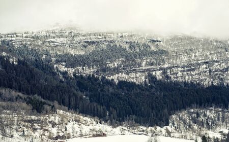 Snowy hills and forest in Norway.の写真素材