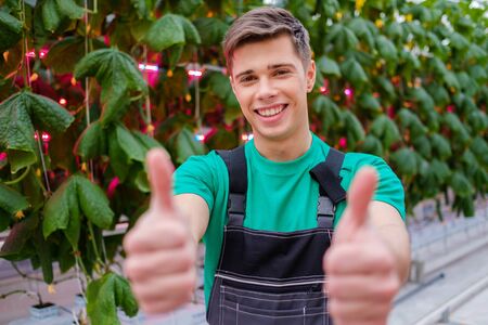 Man working in a greenhouseの写真素材