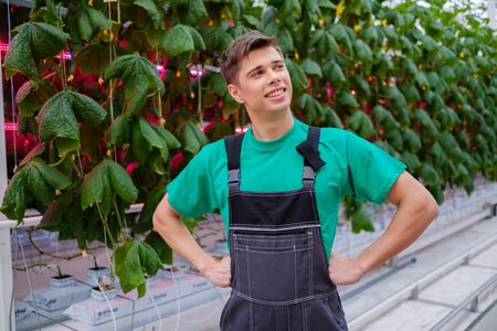 Man working in a greenhouseの写真素材