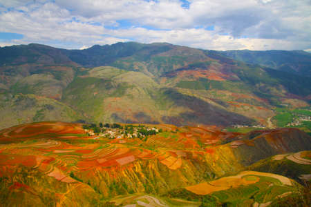 God s palette